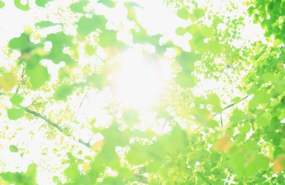 豊かな自然と便利な生活環境が両立した、藤ヶ丘駅近くのマンション物件